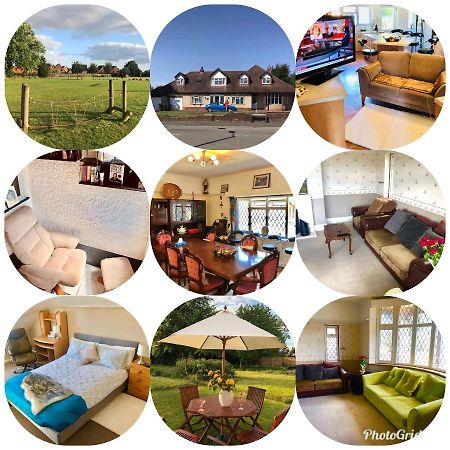 Amazing Quiet Garden House Near London Luton Airport Daire Dış mekan fotoğraf