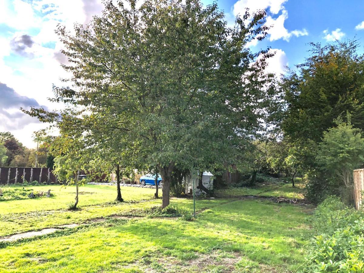 Amazing Quiet Garden House Near London Luton Airport Daire Dış mekan fotoğraf